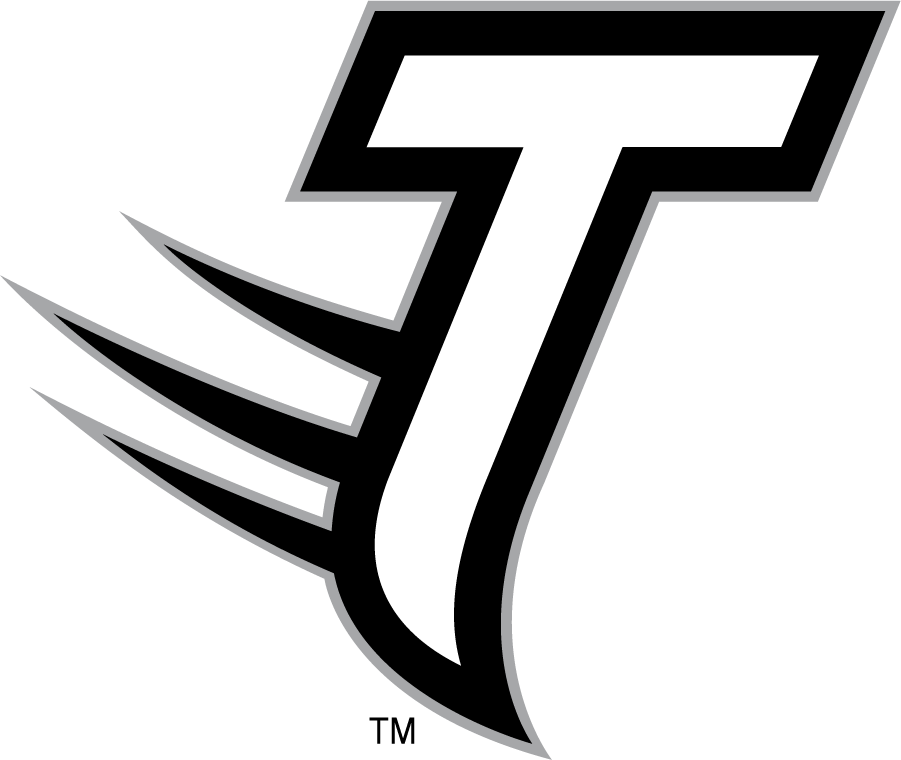 Towson Tigers 2002-2011 Secondary Logo iron on transfers for clothing